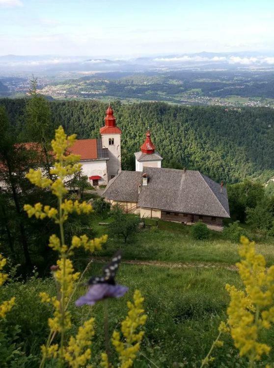 Apartma Zmalinka Stahovica Zewnętrze zdjęcie